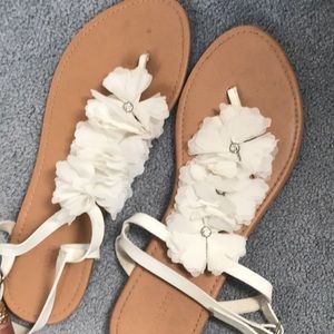White flowered flats